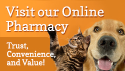 Visit-Pharmacy-Banner