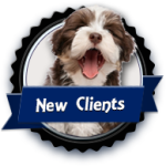 blueanimalbuttons_rascalfunfont_newclients
